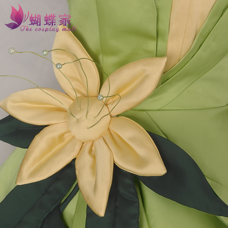 Princess Tiana Dress Cosplay C - Women Knight Accessories recensione e prezzo